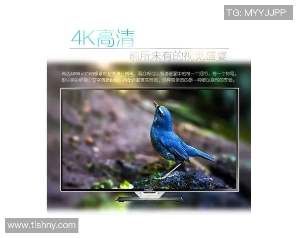 智能电视足球比赛直播回放应用程序助你随时重温精彩瞬间与赛事分析