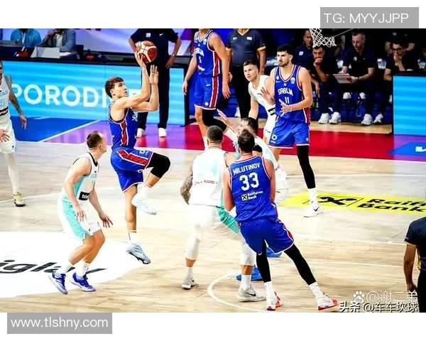 博格丹博格达诺维奇的篮球旅程与成就解析