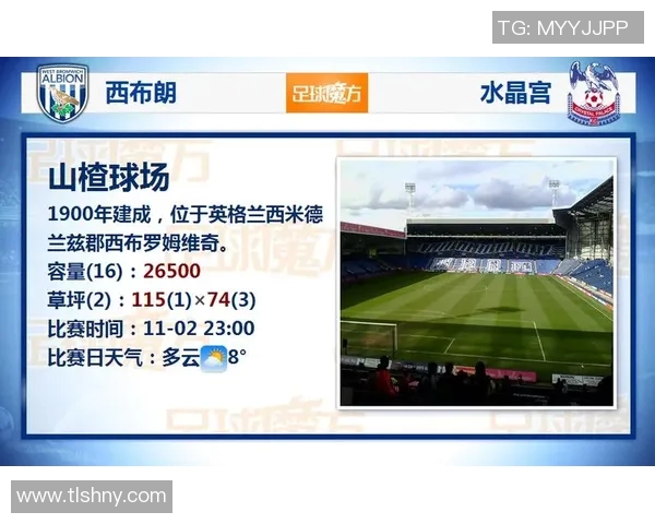 免费观看足球比赛直播的最佳软件推荐与使用指南